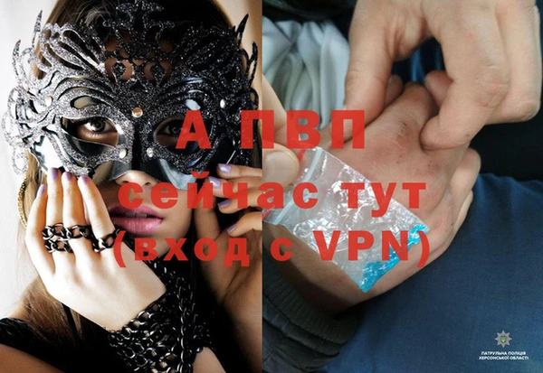 стафф Верхний Тагил