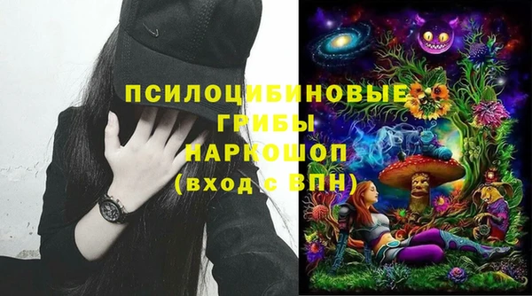 гидра Бородино