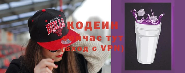 стафф Верхний Тагил