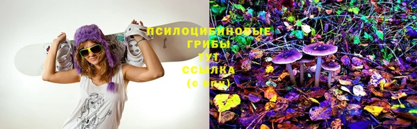 стафф Верхний Тагил