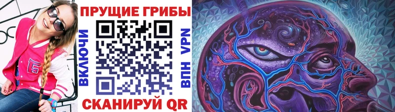 Псилоцибиновые грибы прущие грибы Каменск-Шахтинский